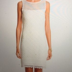 WHBM White Eyelet Lace Shift Dress, Size 0